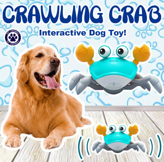 Elite Crawling Crab- Interactive Dog Toy™