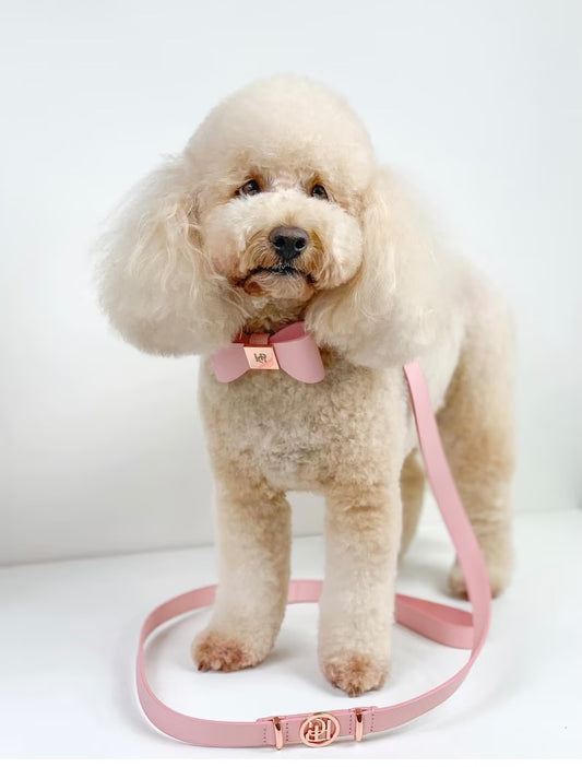 Elite Luxury Dog Harness And Leash Set