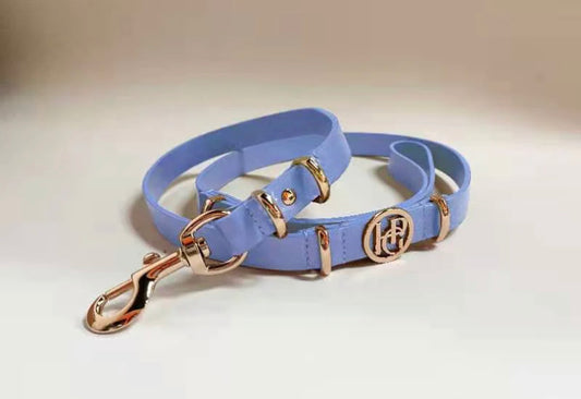 Center Of Attention Leather Leash