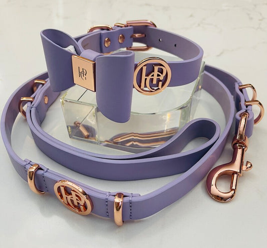 Center Of Attention Leather Collar + Leash 2 Piece Set