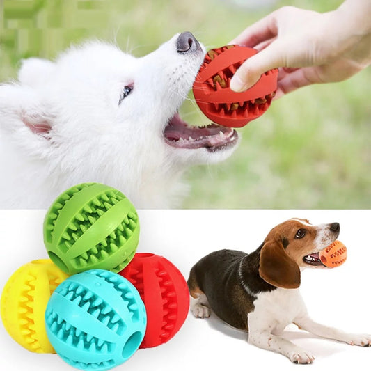 Dog Food/Treat Ball Toy